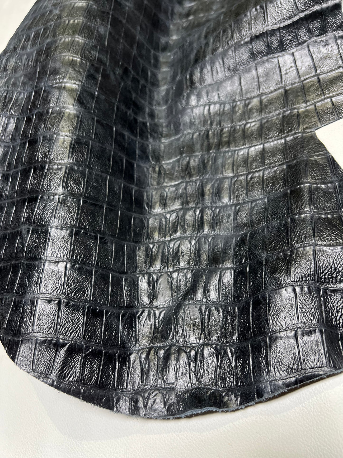 Authentic Tail Gator