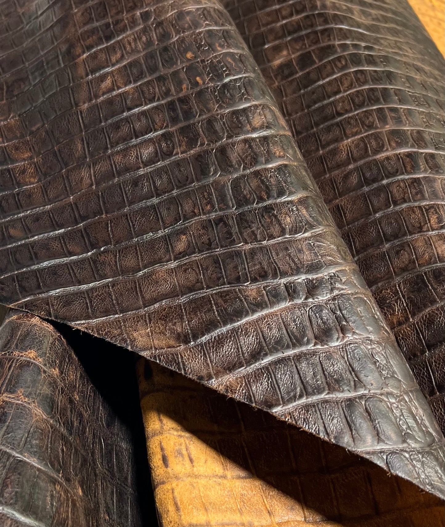 Authentic Tail Gator
