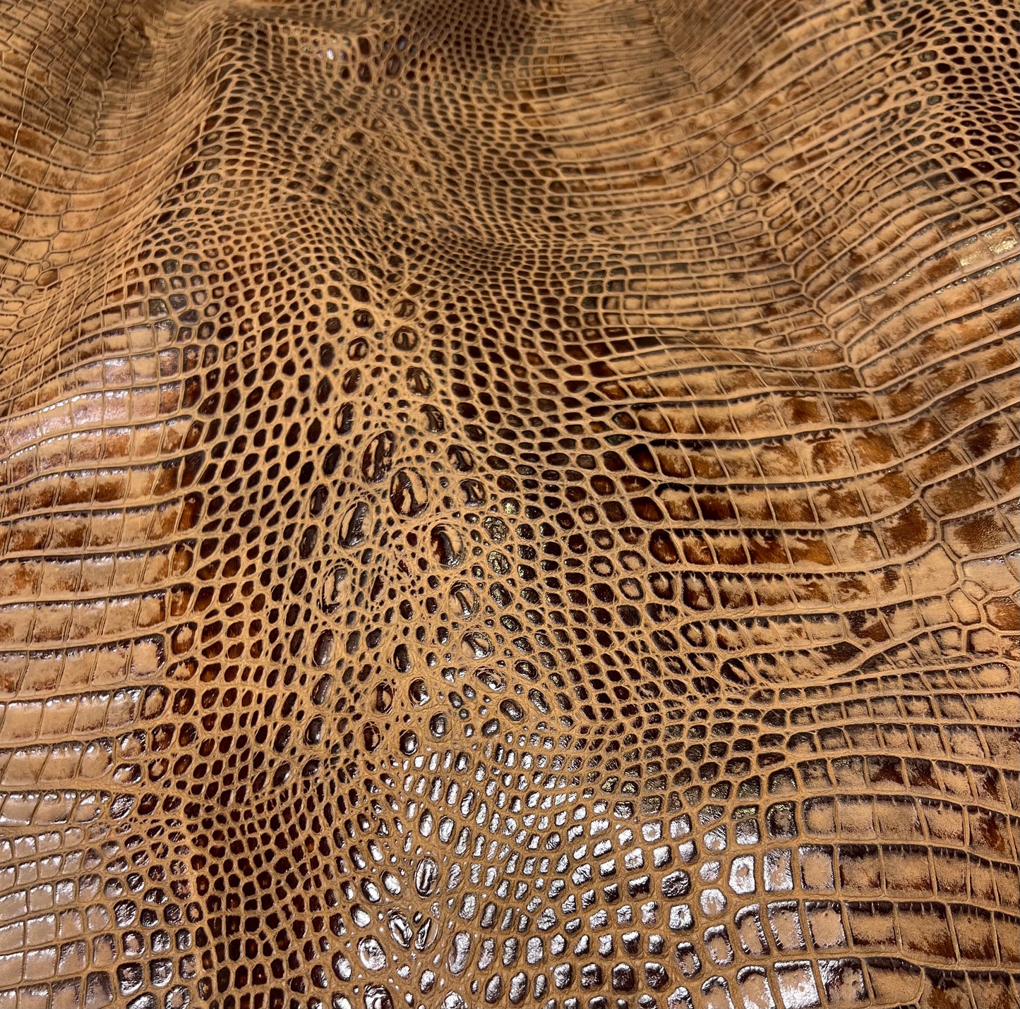 Safari Deep Croco