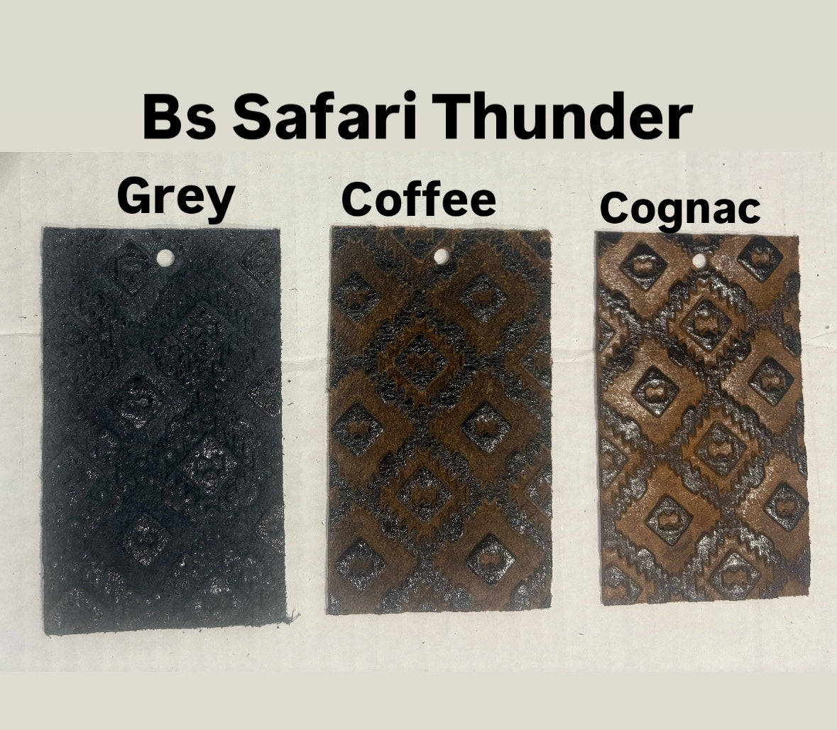 BS Safari Thunder