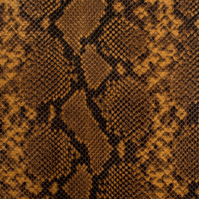 Copperhead Snake