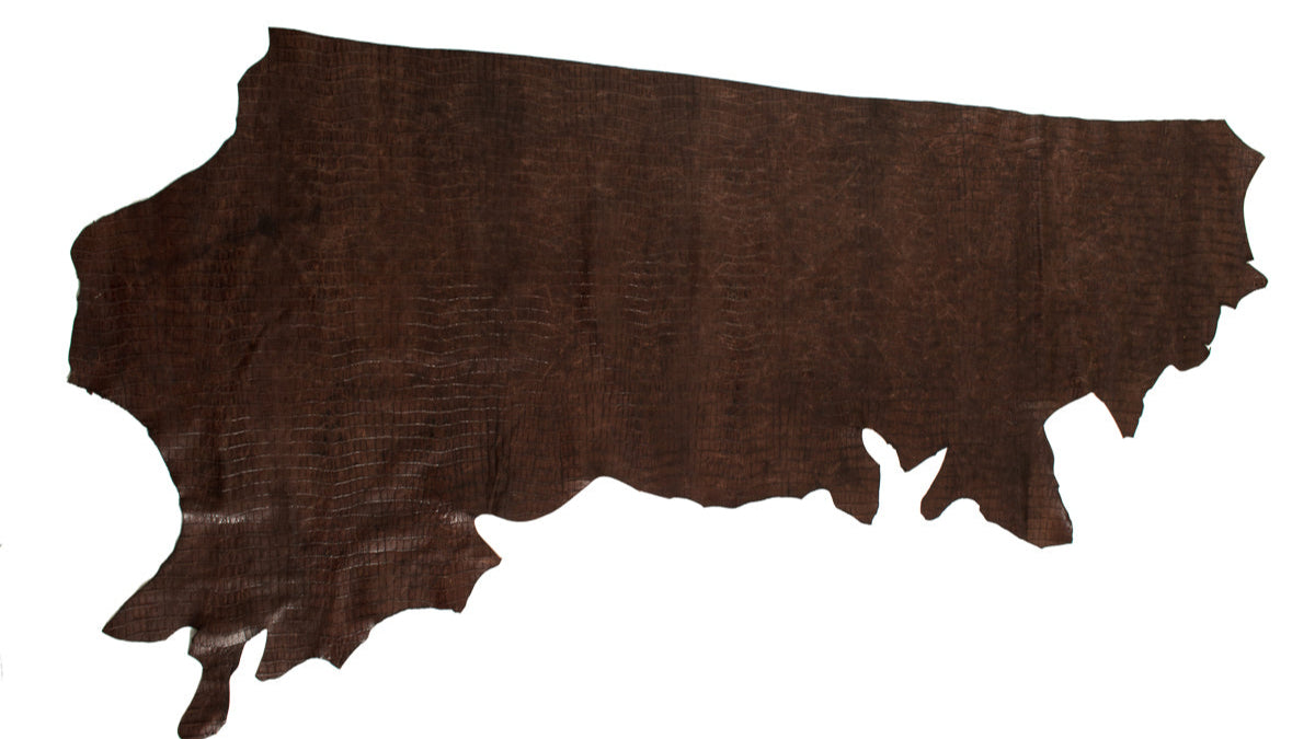 Authentic Tail Gator