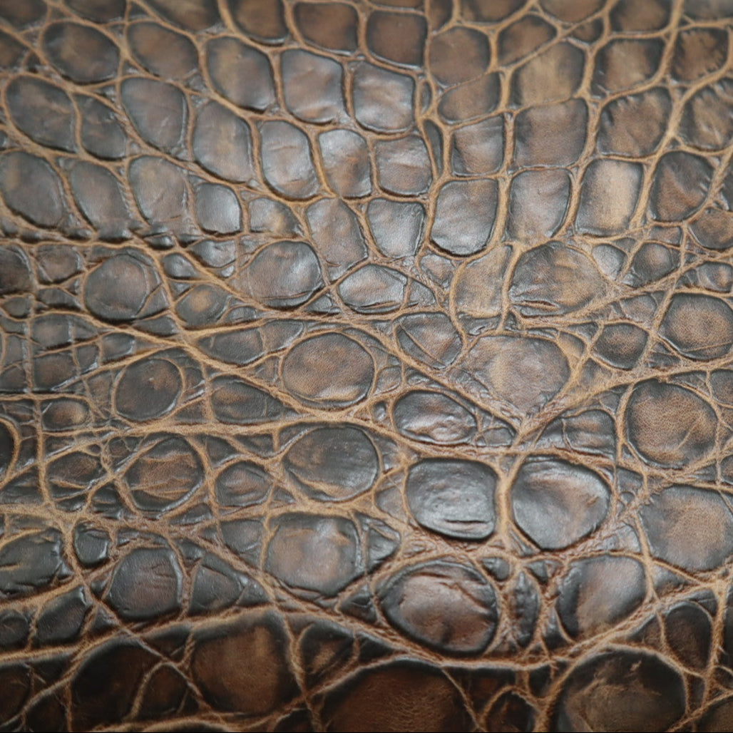 Waxy Turtle