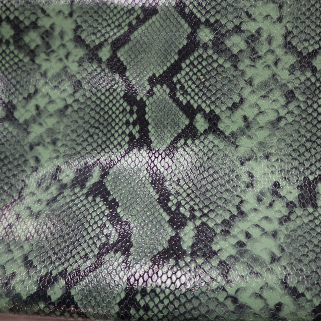 Copperhead Snake