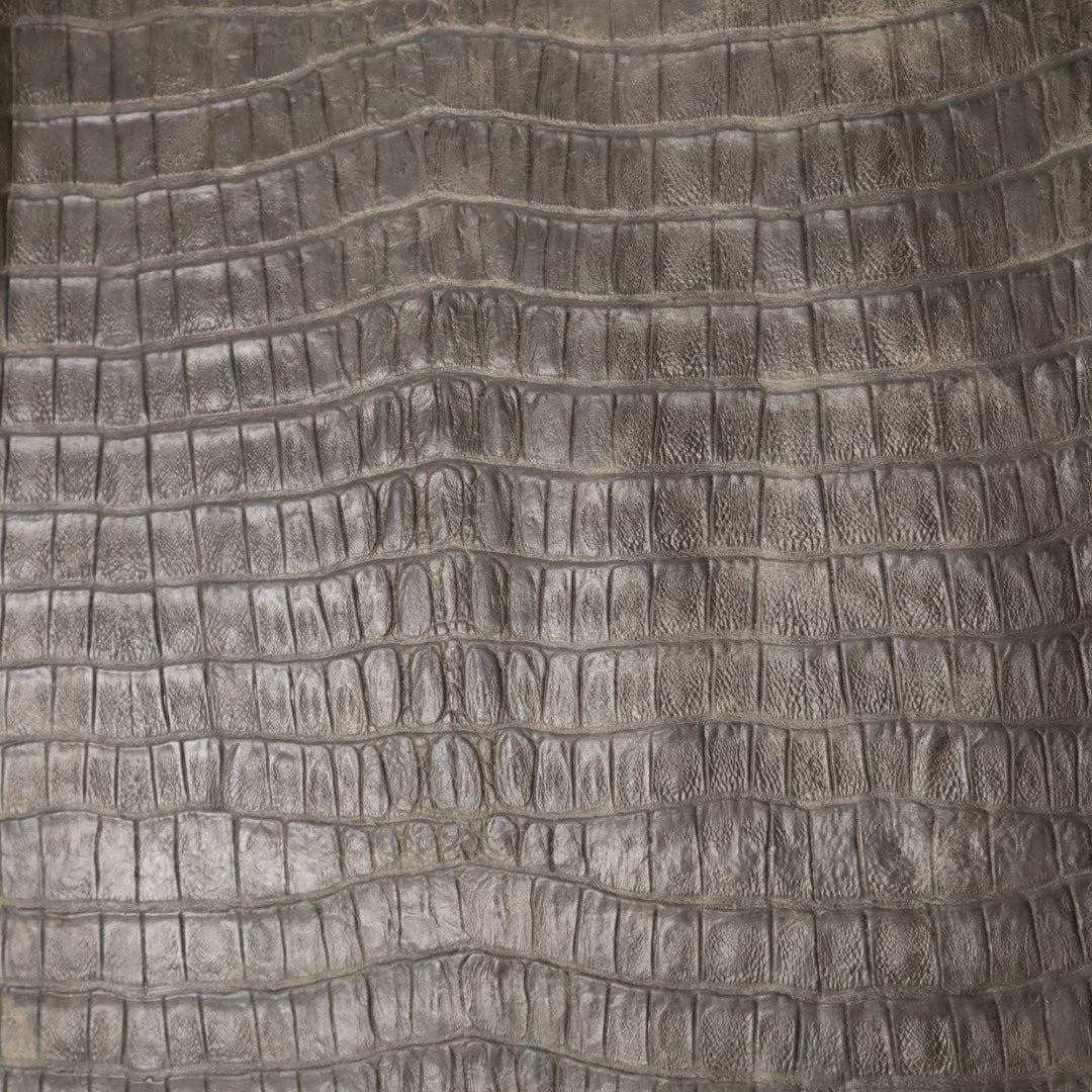 Authentic Tail Gator