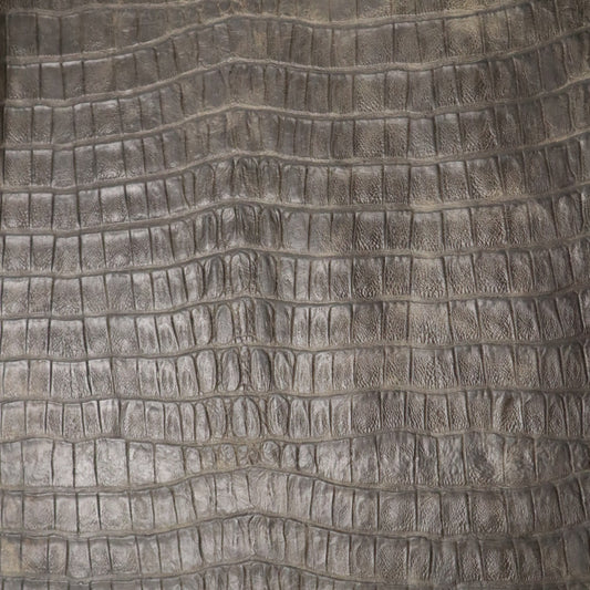 Authentic Tail Gator