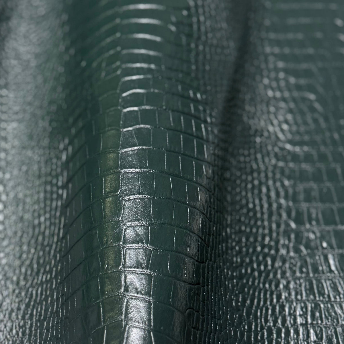 Mucca Croco Crocodile Belly Embossed Cowhide Hides & 12x12 Panels