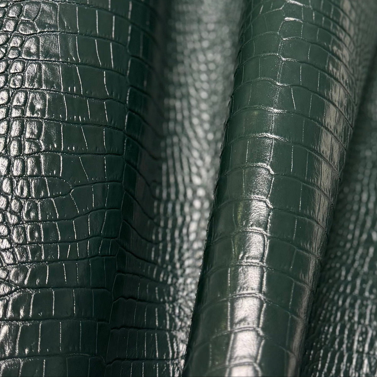 Mucca Croco Crocodile Belly Embossed Cowhide Hides & 12x12 Panels